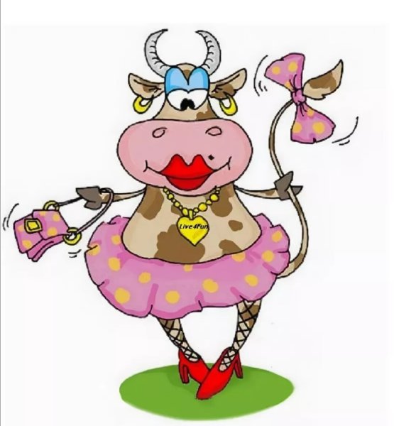 Смешные коровы