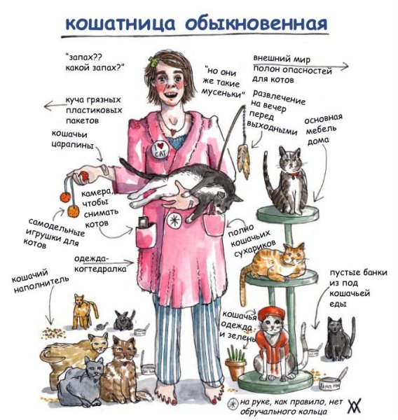 Бабушка кошатница