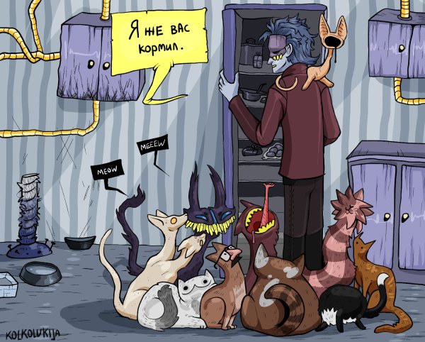 Утро кошатника