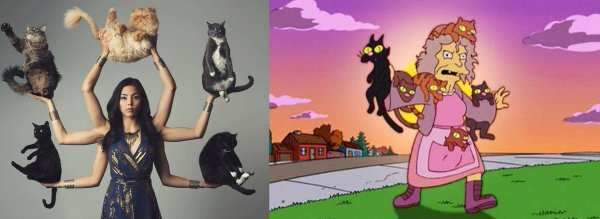 Женщина кошатница симпсоны
