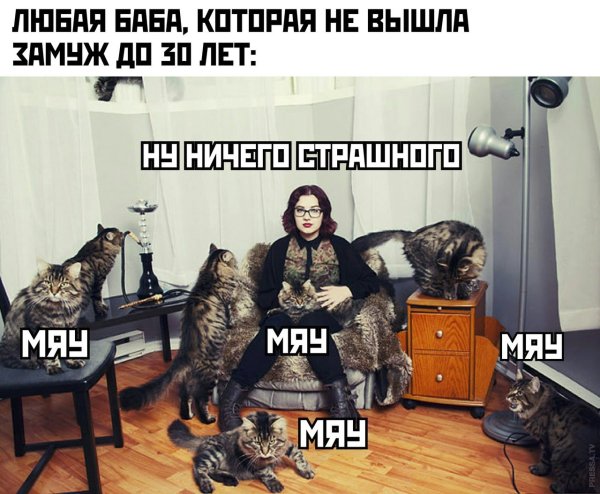 Одинокая кошатница