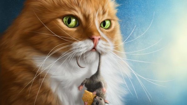 Кот арт
