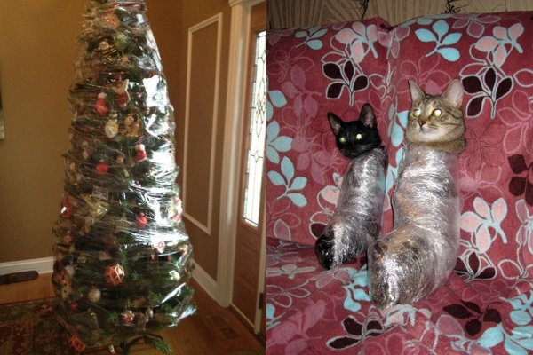 Коты и елки