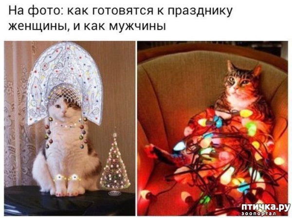 Шутки про новогоднее настроение