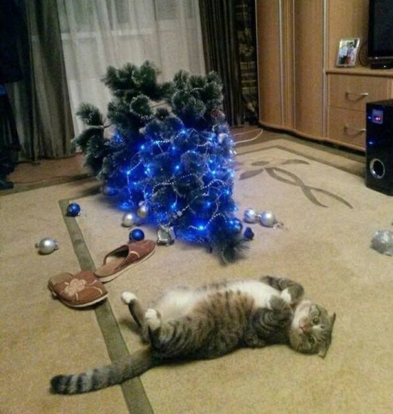 Кот и Новогодняя елка