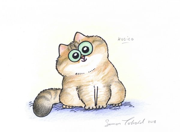 Смешной кот рисунок