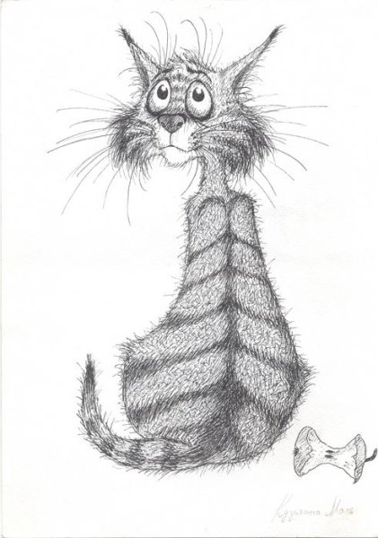 Рисунки котов