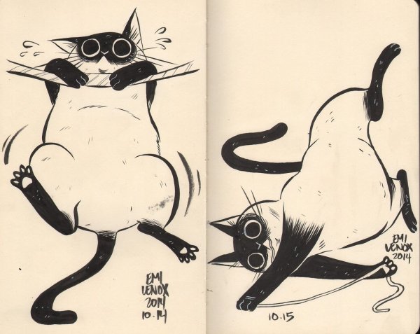 Рисунки котов для срисовки