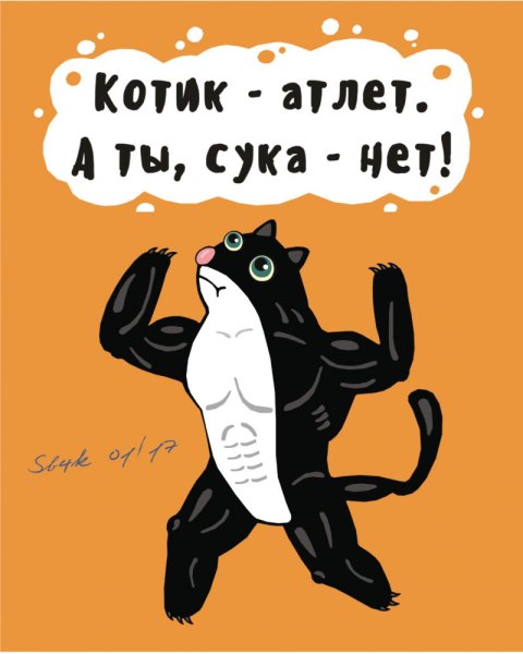 Кот силач Мем