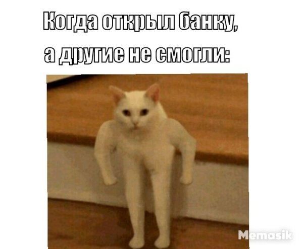 Кот качок