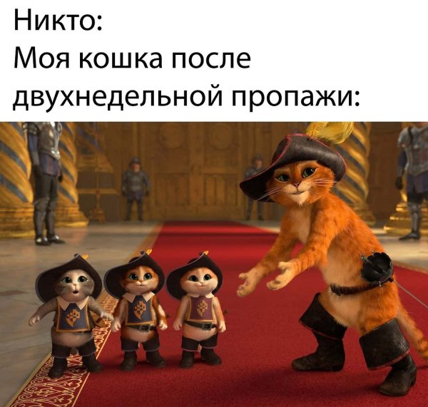 Кот в сапогах