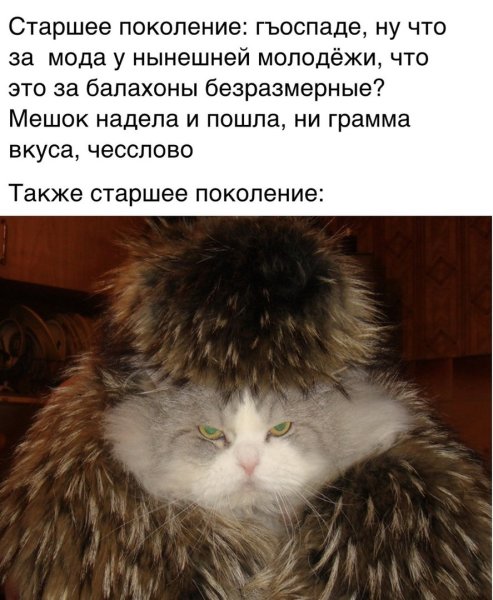 Котик в шубке