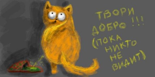 Котики с надписями нарисованные