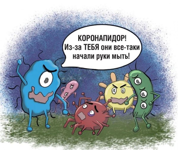 Вирусные приколы