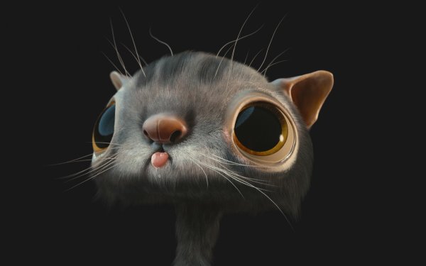 Фон на рабочий стол прикольные