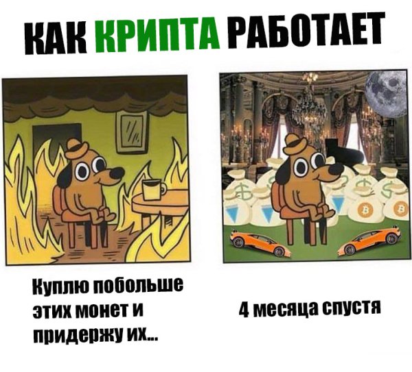 Крипта юмор