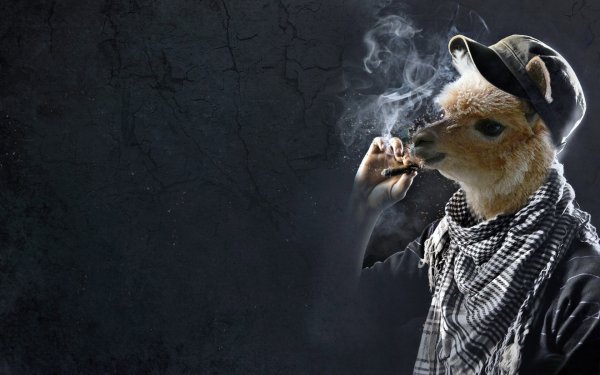 Животные с сигаретой