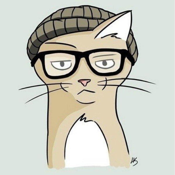 Котик рисунок