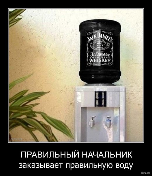 Кулер Джек Дэниэлс