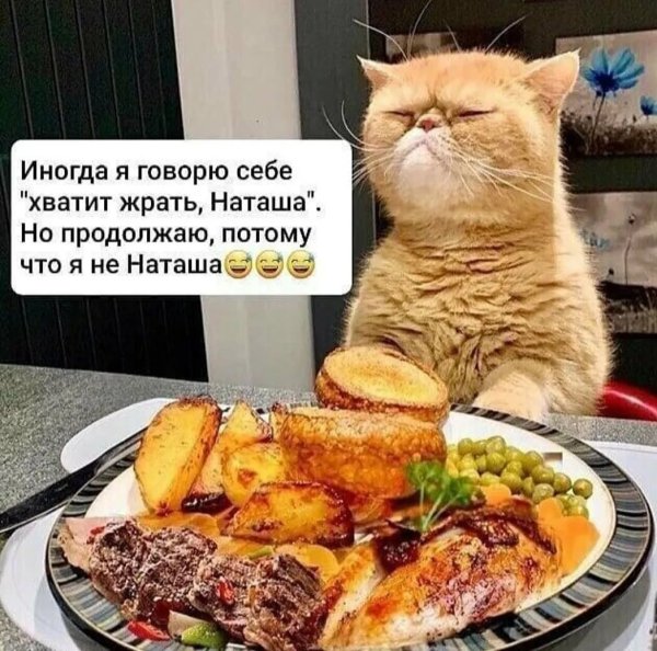 Хватит кушать