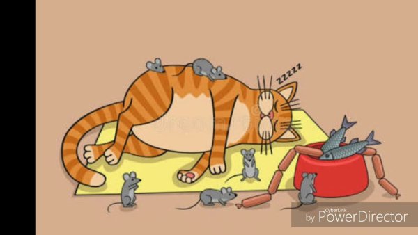 Ленивый кот