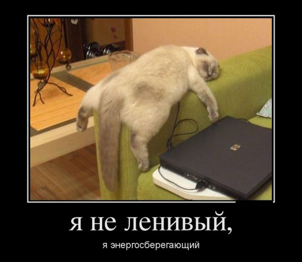 Спать демотиватор