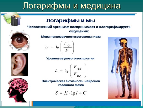 Применение логарифмов в медицине
