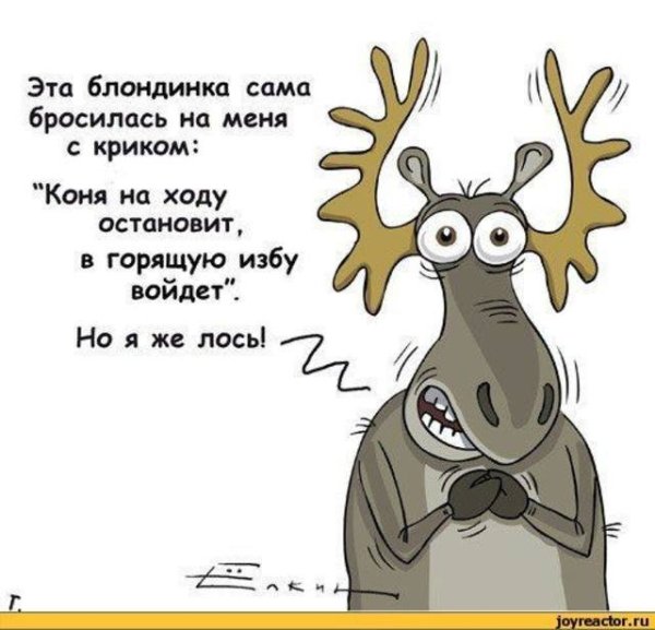 Смешные шутки про оленей