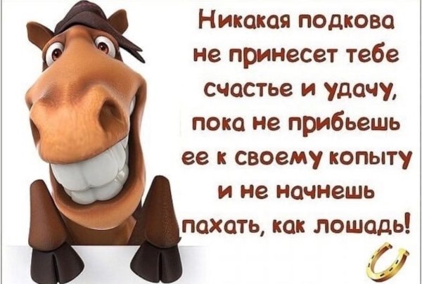 Пахать как лошадь