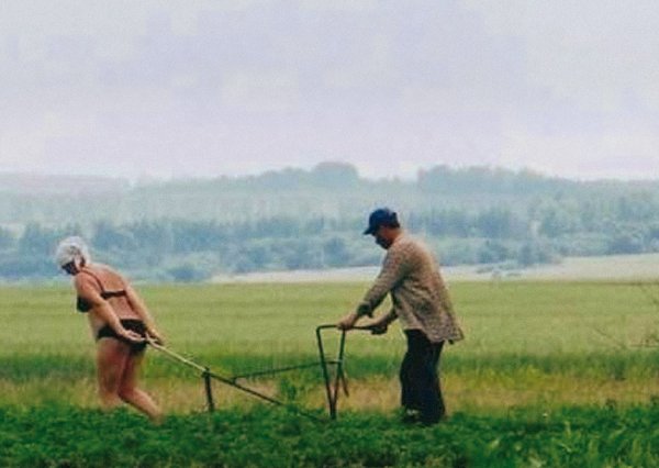 Баба запряженная в плуг