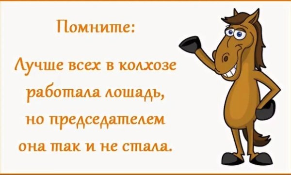 Лошадь председателем так и не стала