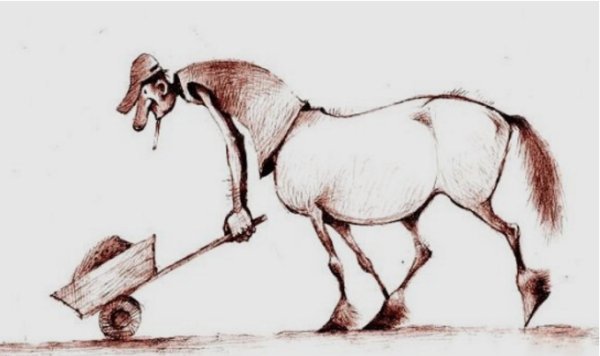 Лошадь карикатура