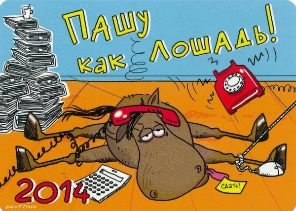 Пашу как лошадь