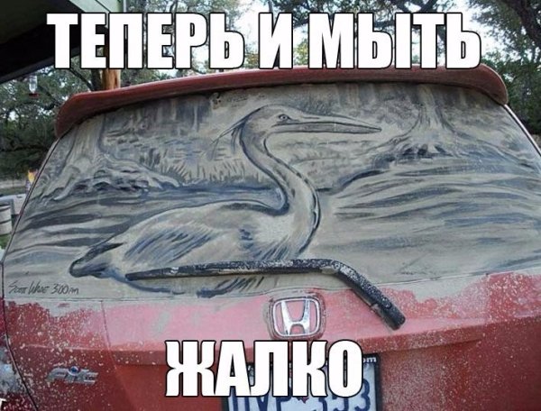 Лучшие надписи