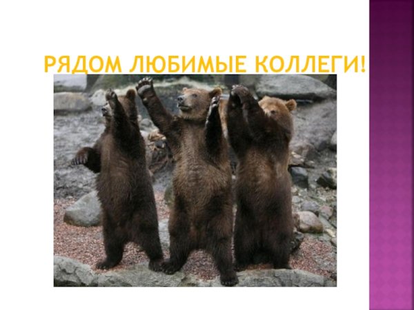 Любимые коллеги