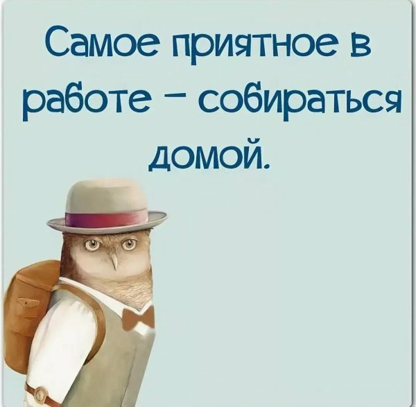 Работа цитаты юмор