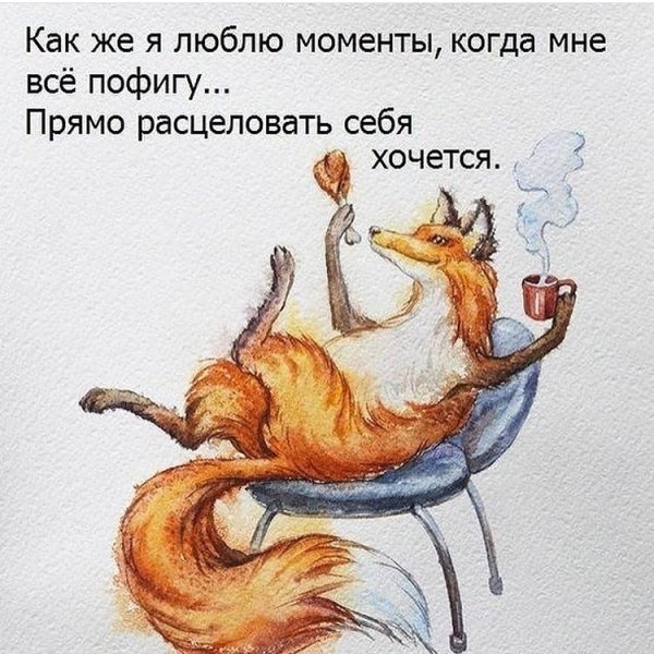 Прикольная лиса