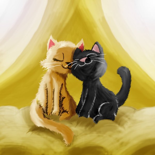 Влюбленные коты