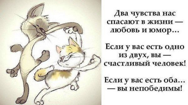 Веселые цитаты в картинках