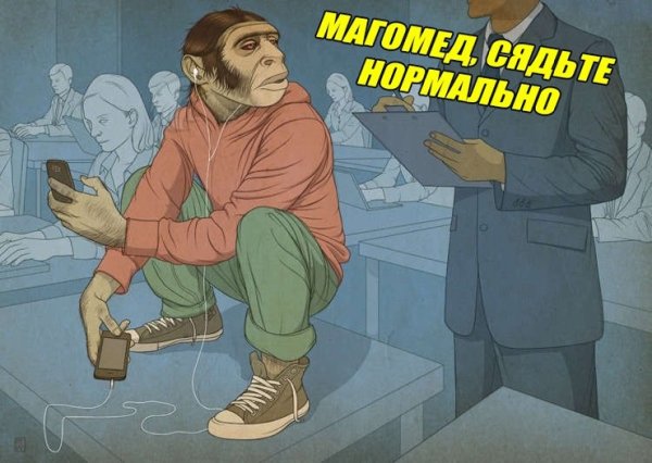 Магомед сядь нормально