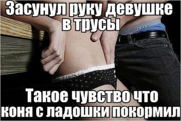Коня с ладошки покормил