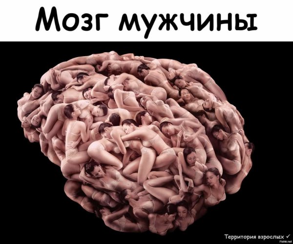 Мозг прикольный