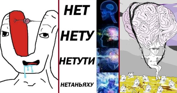 Мозг Мем