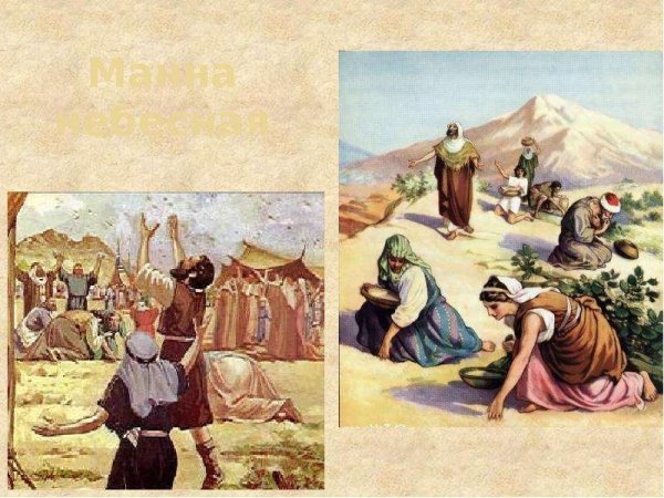 Моисей и Манна Небесная