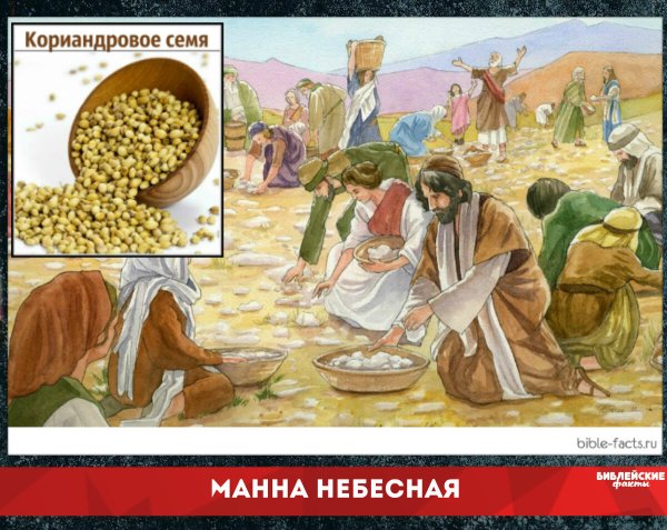 Манна Небесная фразеологизм