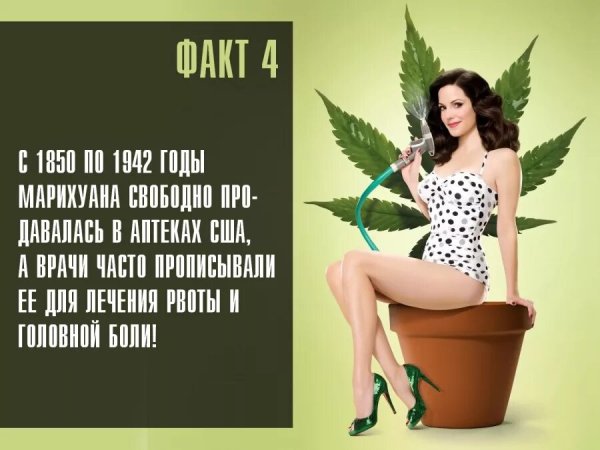 Смешные фразы про травку