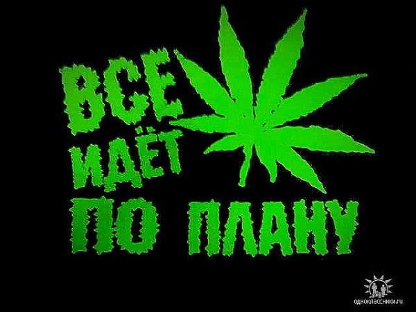 Прикольная надпись про коноплю