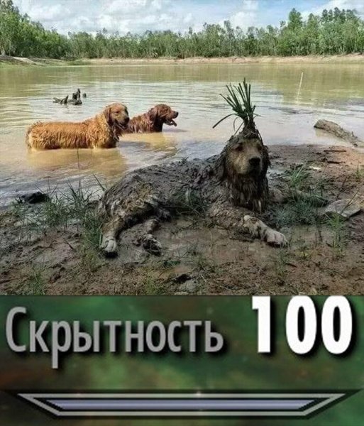 Смешная маскировка