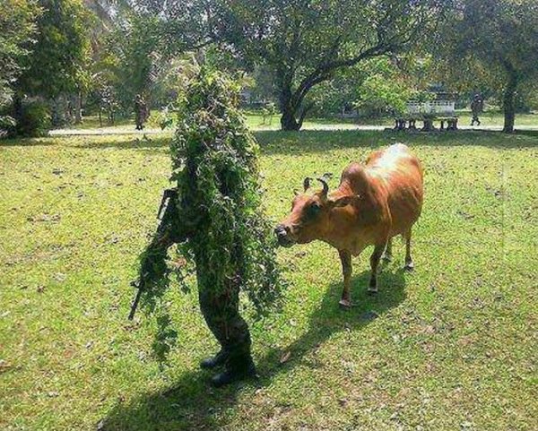 Смешной снайпер в кустах