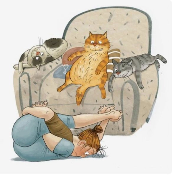 Ольга Громова коты